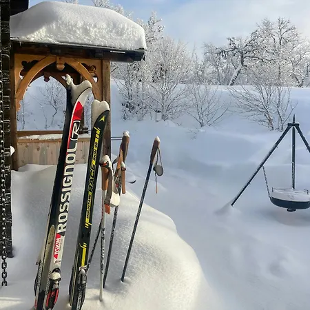 Charming Log With Modern Luxury