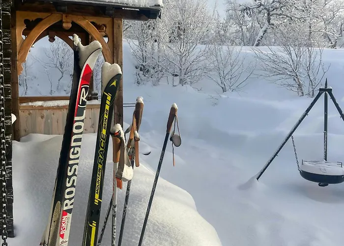 Charming Log With Modern Luxury